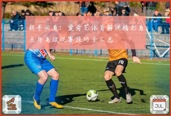 新手必看：爱奇艺体育解说精彩看点与高效观赛技巧全汇总