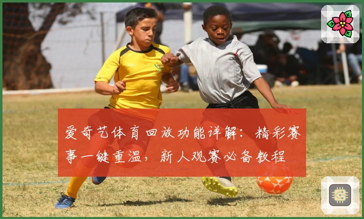 爱奇艺体育回放功能详解：精彩赛事一键重温，新人观赛必备教程